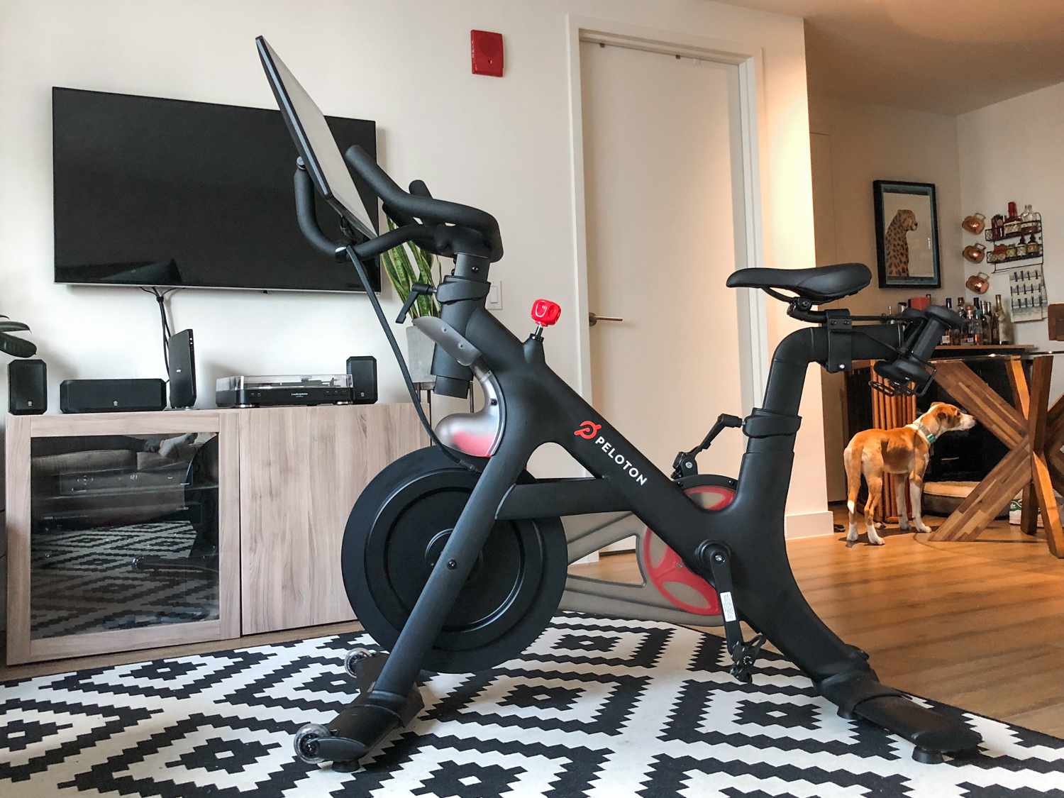 spin bikes with screens