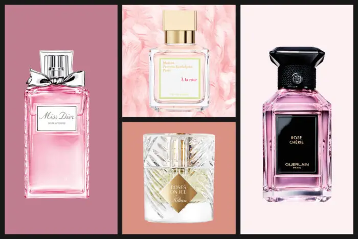 Top 10 Best Perfumes With Jasmine for an Enchanting Fragrance ...