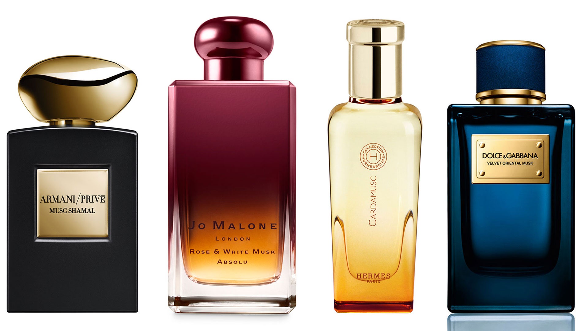 What Is Musk In Perfume Grooming Wise 